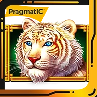 Dragon Tiger slot pragmaticplay demo