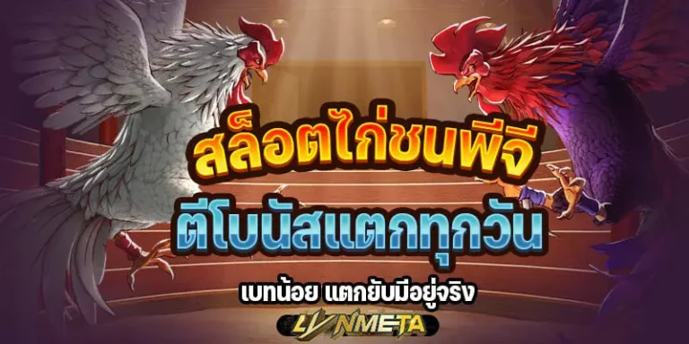 สล็อตไก่ชนพีจี ตีโบนัสแตกทุกวัน